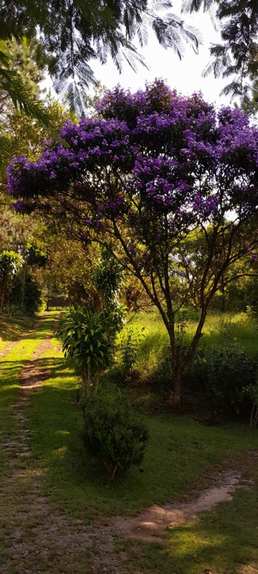Sitio Gacied Villa Suzano Kültér fotó